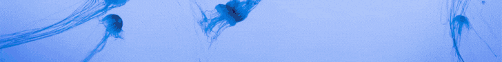 Banner publicitario